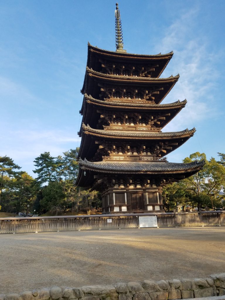 久しぶりの奈良公園