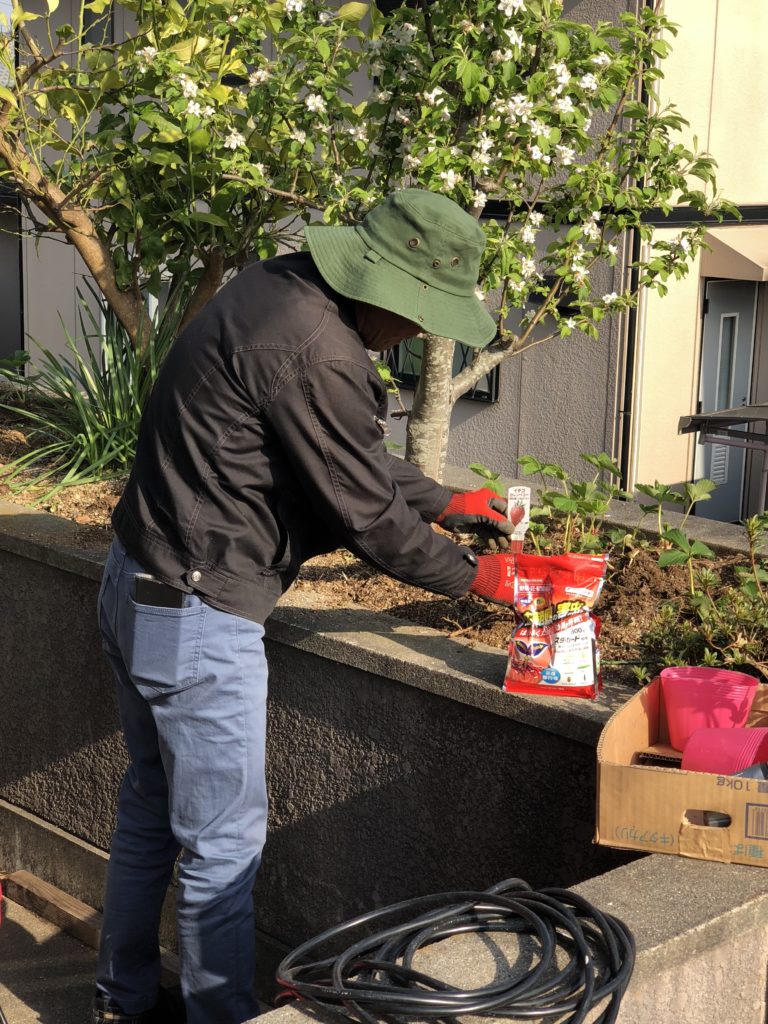 社長、家庭菜園を始める　part1