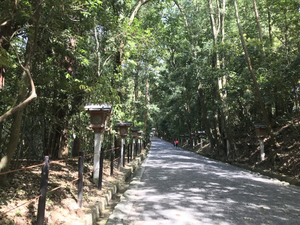 爽やかな空気。