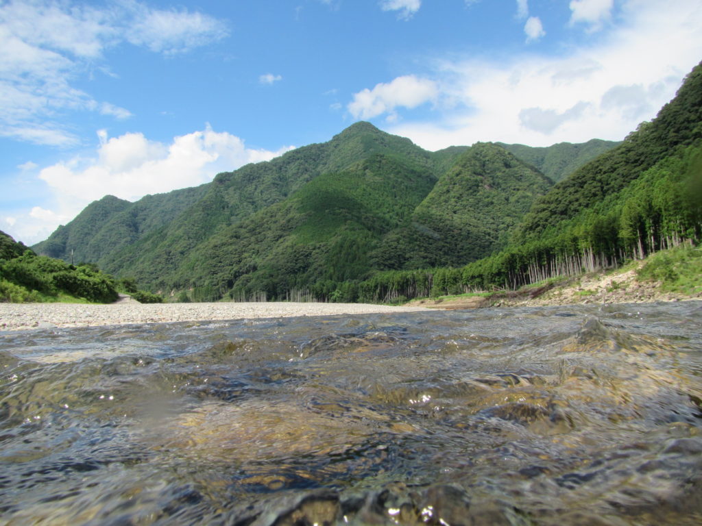 水がとても綺麗です。