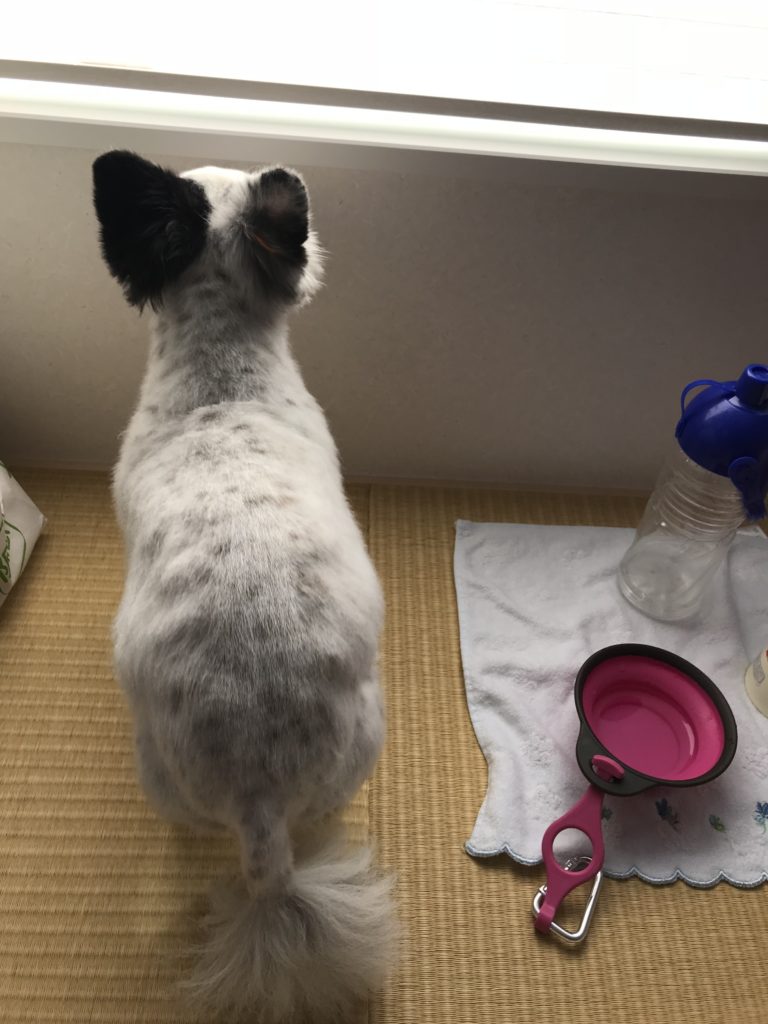 Ｉ様邸お引越日