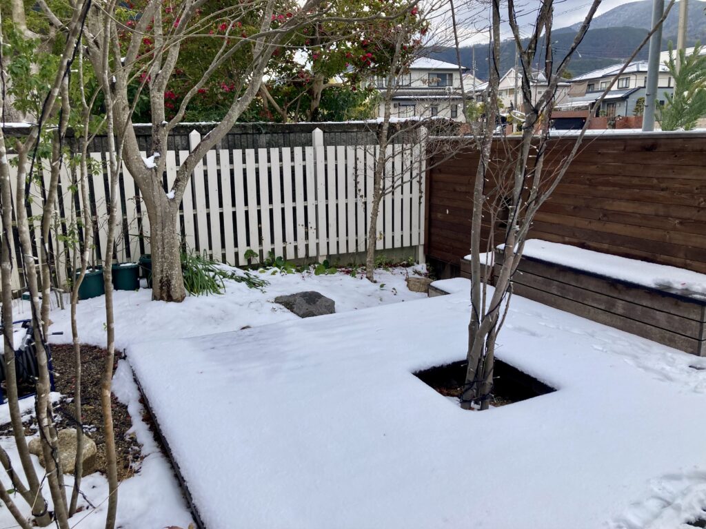 冬らしい雪景色となりました。